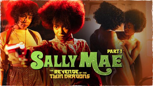 Sally Mae: The Revenge of the Twin Dragons: Part 1 [AdultTime]